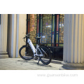 Customized 350w 500w Ebike Cycling Bicycle